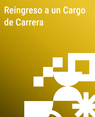 tarjeta-cargocarrera